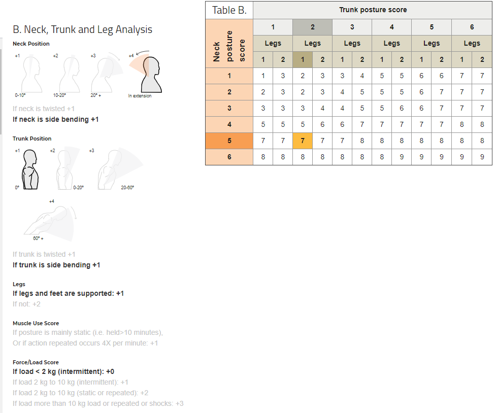 RULA Report - How to interpret the data?